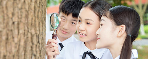 中加楓華國際學校初中部2024年有哪些入學條件？